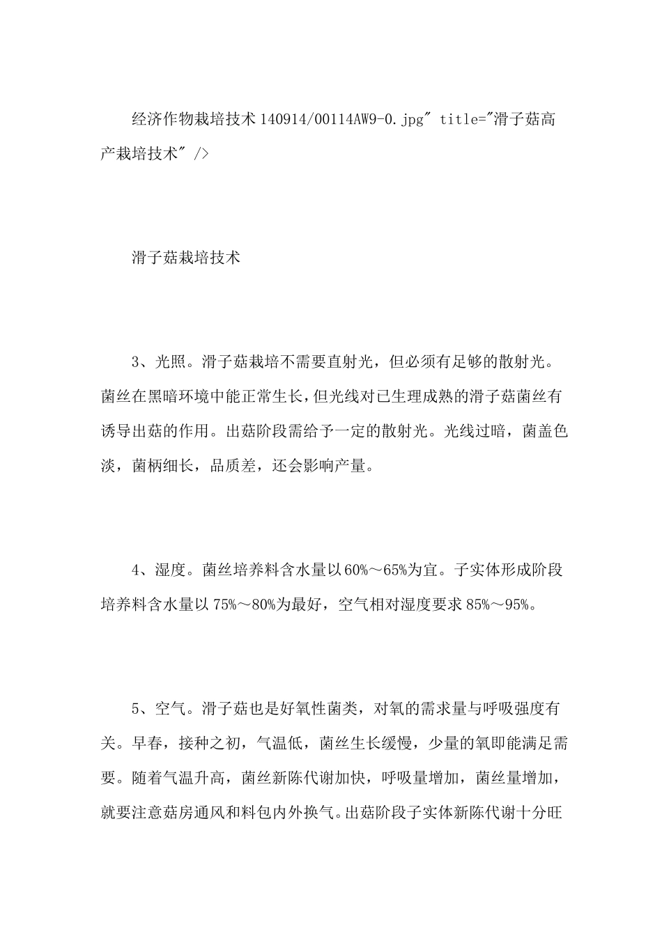 滑子菇高产栽培技术_第2页