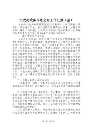 民政局政务信息公开工作汇报（县）