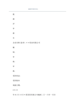 能源评审报告范文
