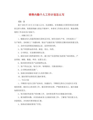 销售内勤个人工作计划怎么写 