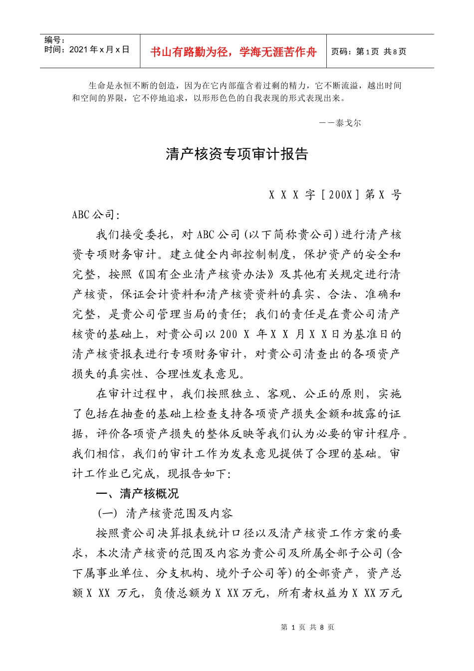 Sykxwq清产核资专项审计报告_第1页