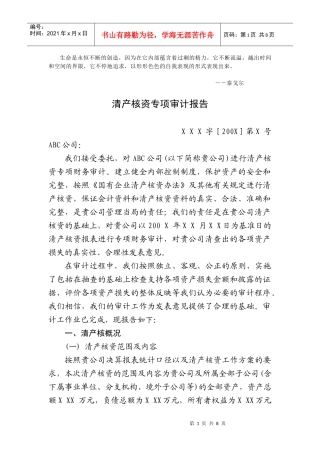 Sykxwq清产核资专项审计报告