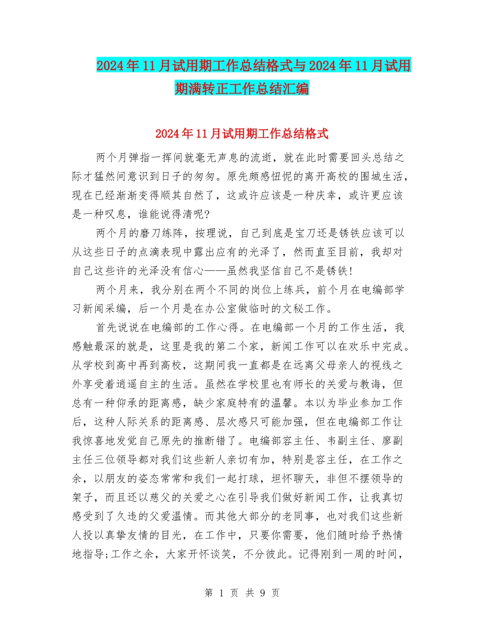 2024年11月试用期工作总结格式与2024年11月试用期满转正工作总结汇编_第1页