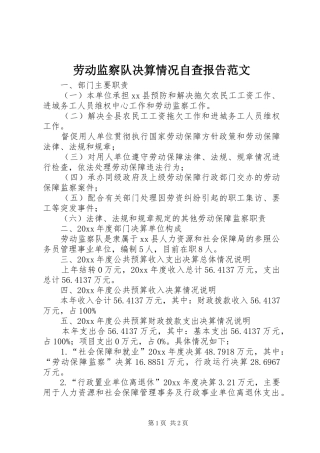 劳动监察队决算情况自查报告范文