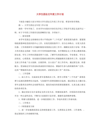 大学生团总支年度工作计划 