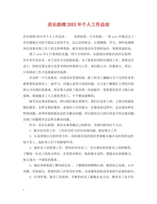 店长助理20XX年个人工作总结 