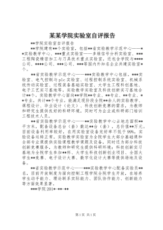 某某学院实验室自评报告