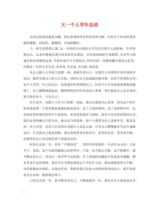 大一个人学年总结 