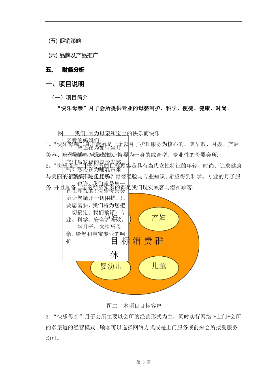 月子会所筹备商业模式及商业计划书_第3页