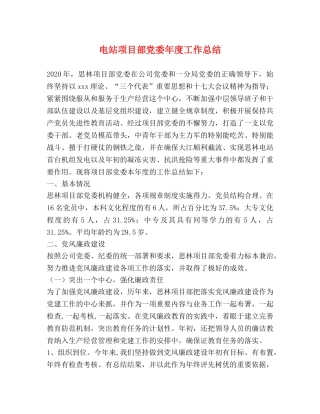 电站项目部党委年度工作总结 