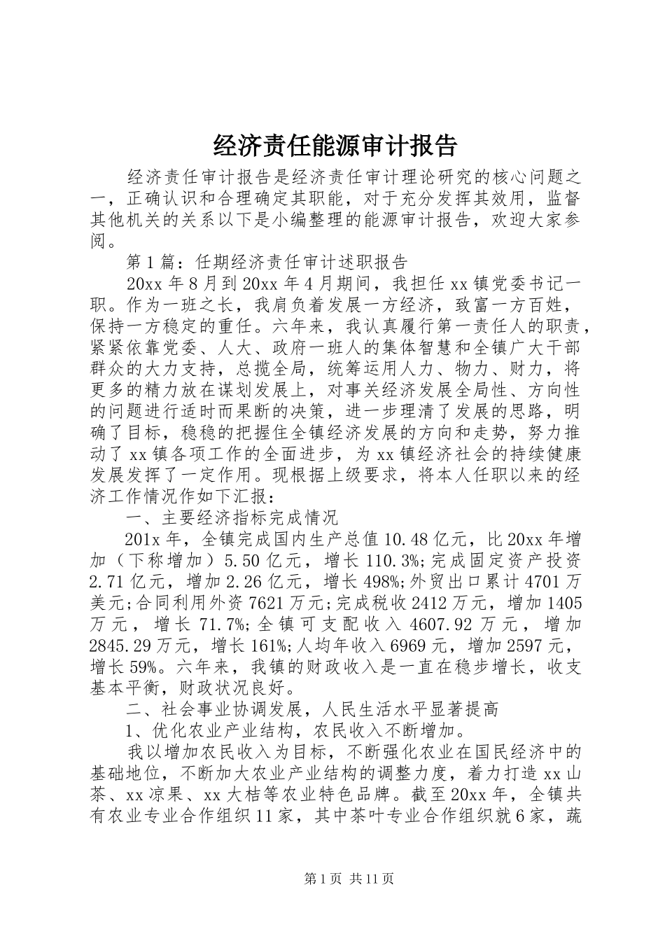 经济责任能源审计报告_第1页