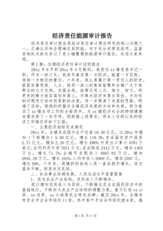 经济责任能源审计报告