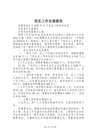 民生工作自查报告