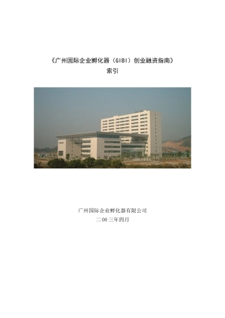 国际企业孵化器（GIBI）创业融资指南