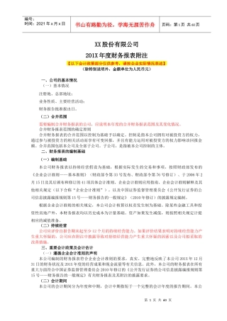 某公司年度财务报表(DOC 72页)