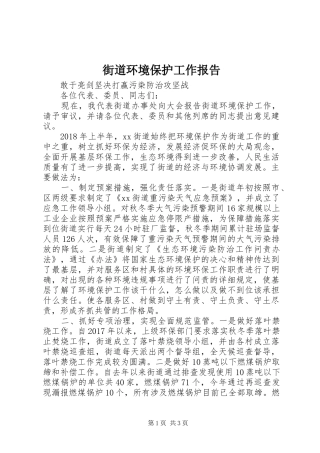 街道环境保护工作报告