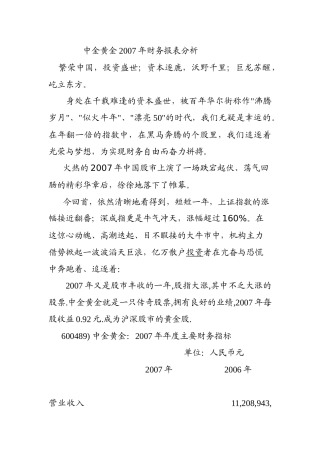 中金黄金某年度财务报表分析