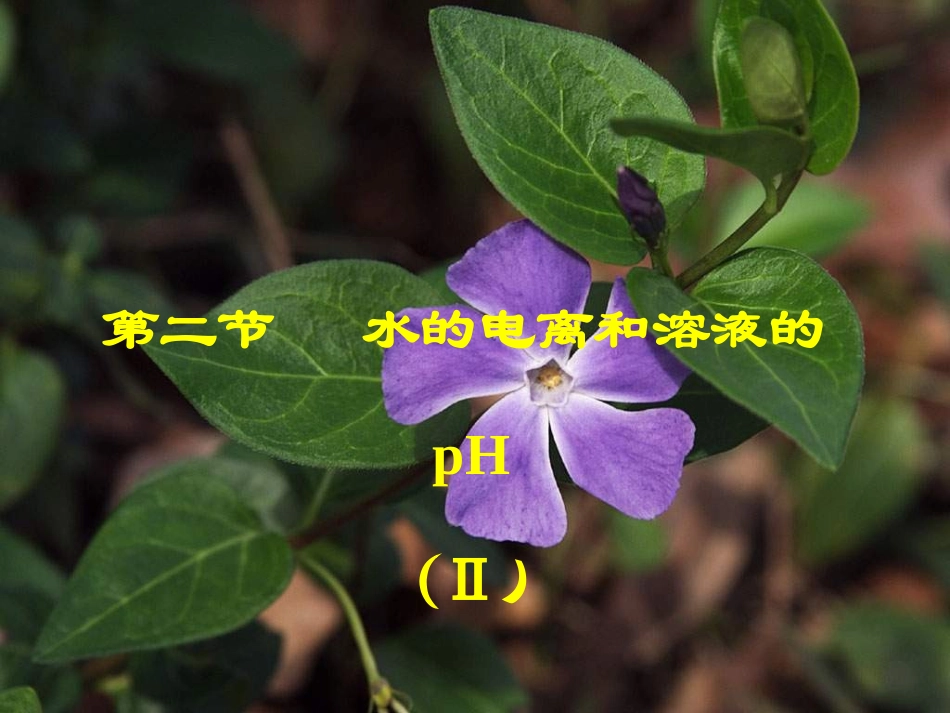 水的电离和溶液的pH2_第1页