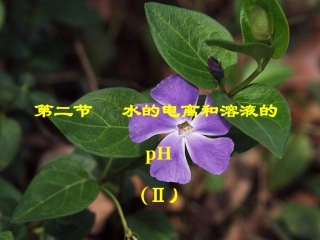 水的电离和溶液的pH2