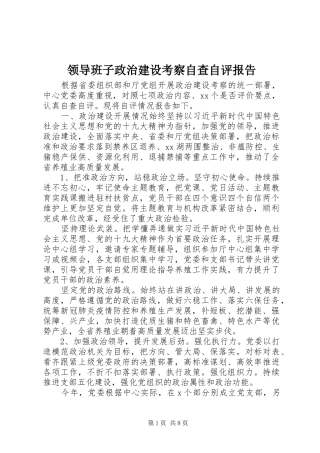 领导班子政治建设考察自查自评报告
