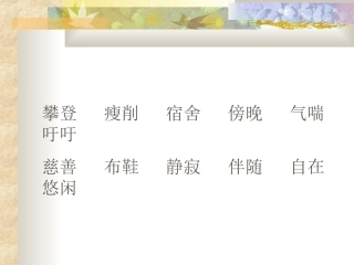 天游峰的扫路人