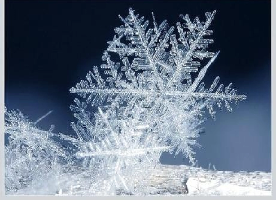 《雪地里的小画家》好_第3页