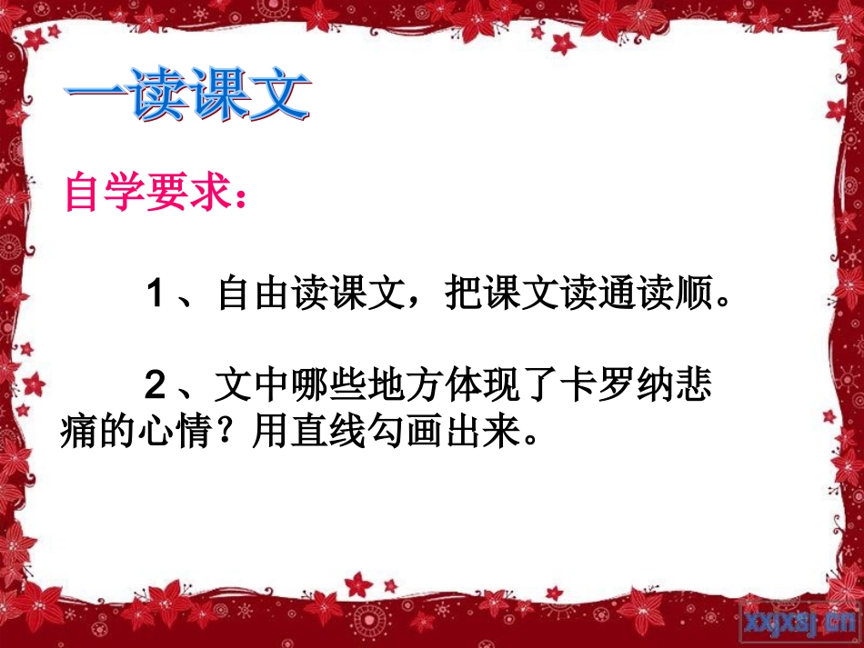 党超《卡罗纳》课件_第2页