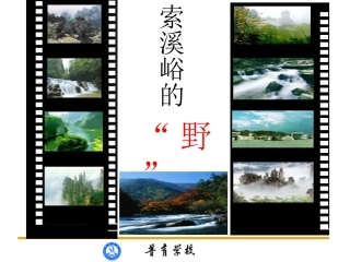 《索溪峪的野》课件 (2)