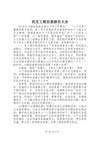 民生工程自查报告大全