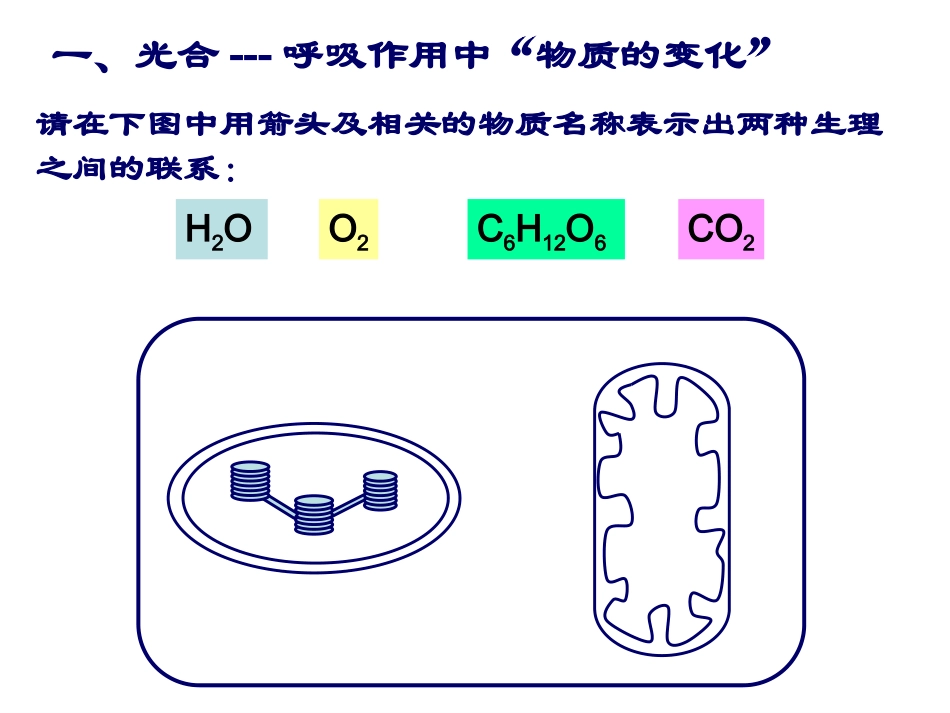 光合作用二轮复习_第2页