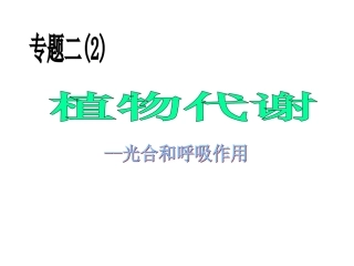 光合作用二轮复习