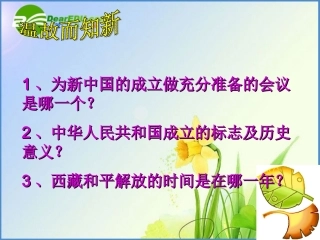 八年级历史下册12《为巩固新中国而斗争》课件（5）北师大版