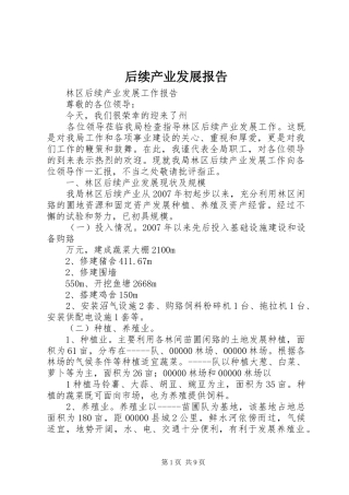 后续产业发展报告