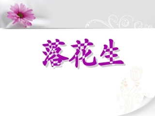 《落花生》课件4 (2)