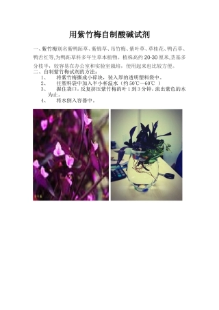 用紫竹梅自制酸碱试剂