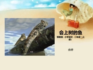 会上树的鱼说课稿
