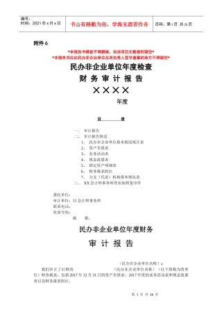 民办非企业单位审计报告模板