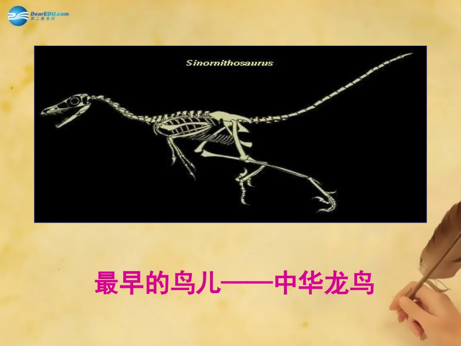 七年级语文化石吟课件_第3页