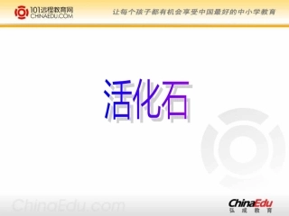 人教新课标版小学二上《活化石》课件2