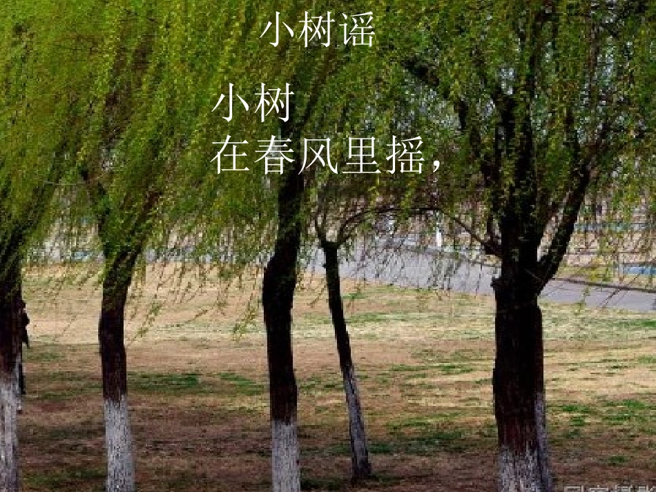 语文S版一年级下学期小树谣的PPT_第3页