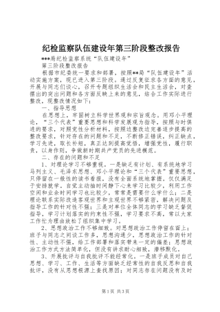 纪检监察队伍建设年第三阶段整改报告