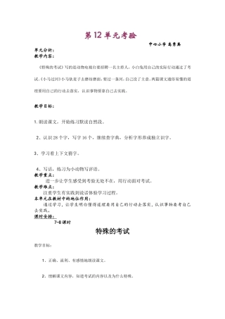 特殊的考试教案及课件