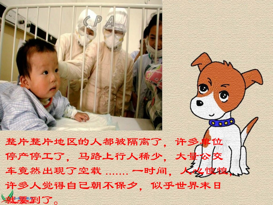 我只看见你的眼睛课件_第3页