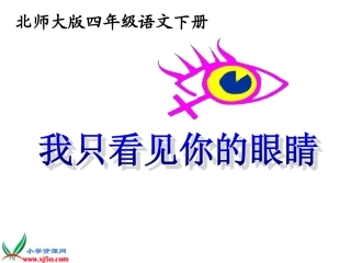 我只看见你的眼睛课件