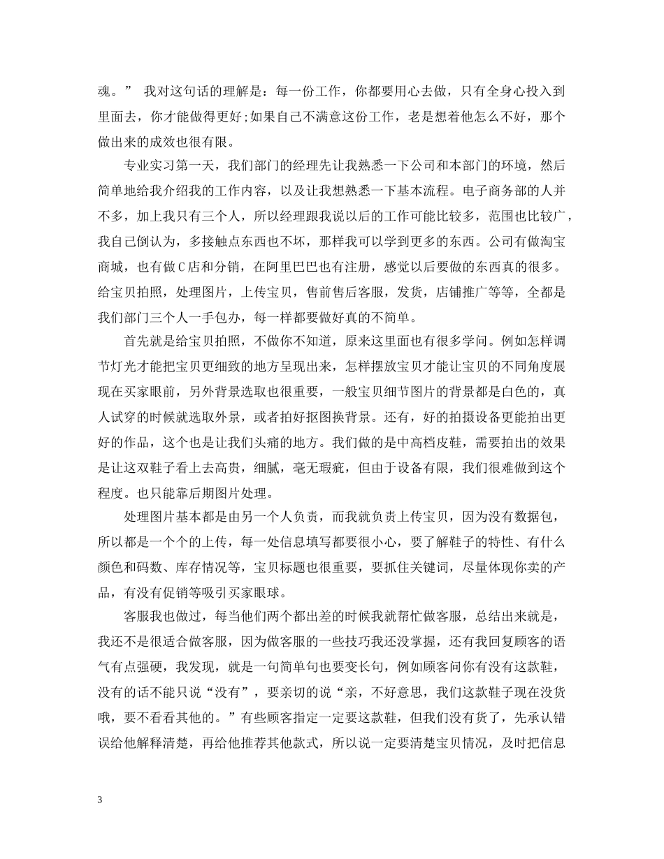 电子商务实习总结的范文 _第3页
