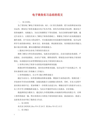 电子商务实习总结的范文 