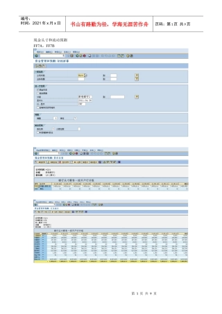 现金头寸和流动预测