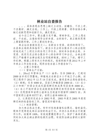 林业站自查报告