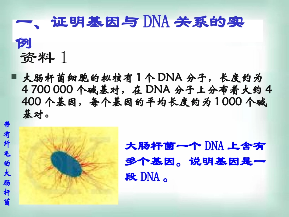 高中生物《34基因是有遗传效应的片段》课件新人教版必修2_第2页
