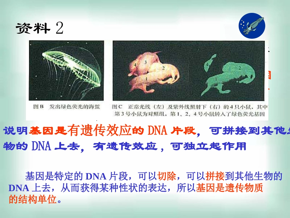 高中生物《34基因是有遗传效应的片段》课件新人教版必修2_第3页